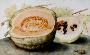 Un melón y una rebanada de sandía de Giovanna Garzoni